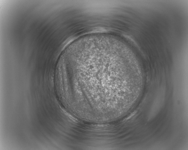 X0000065961409200603241835