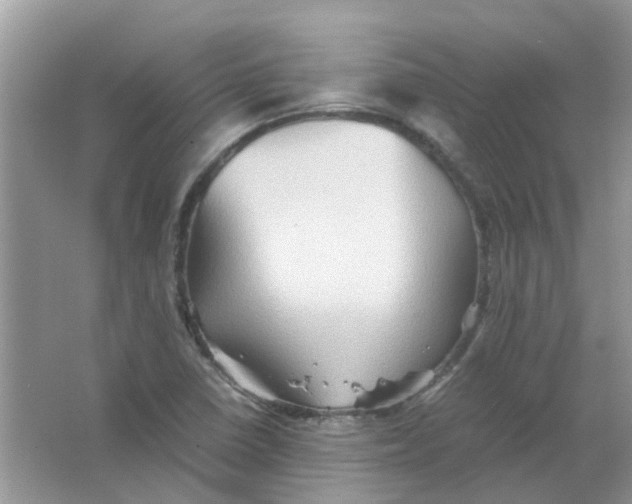 X0000065961410200603241835