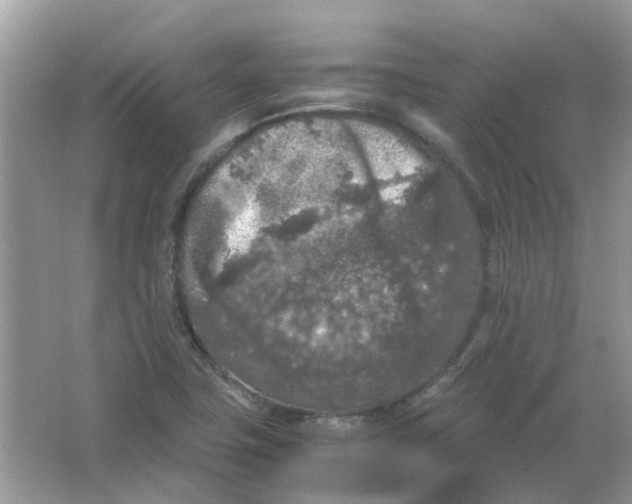 X0000065961411200603241835