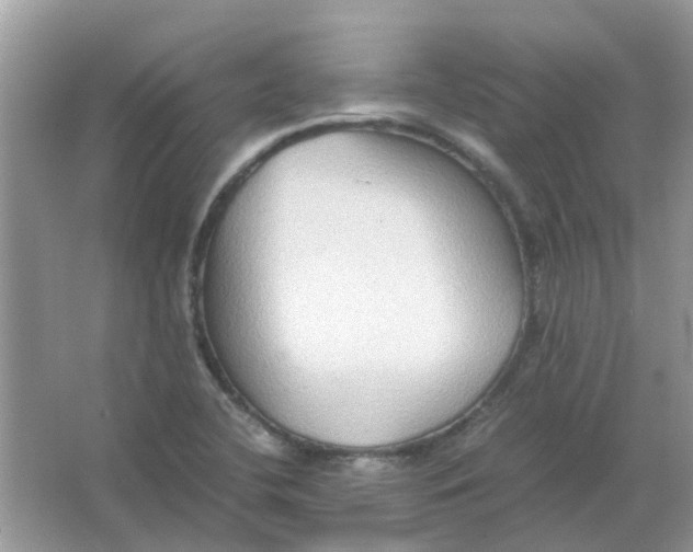 X0000065961412200603241835