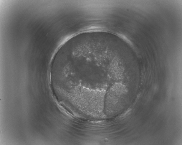 X0000065961413200603241835