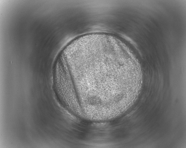 X0000065961415200603241835