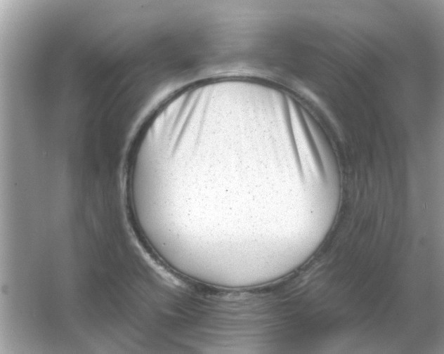 X0000065961416200603241835