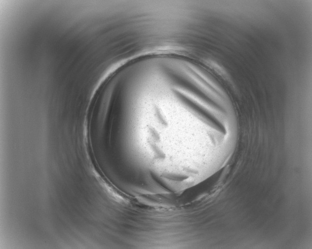 X0000065961420200603241835