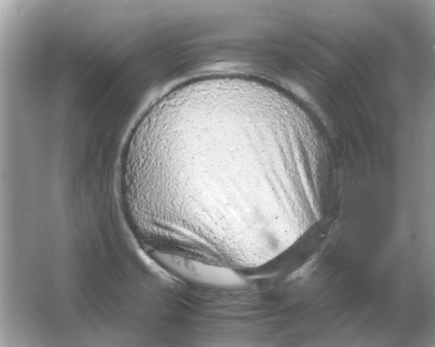 X0000065961421200603241835