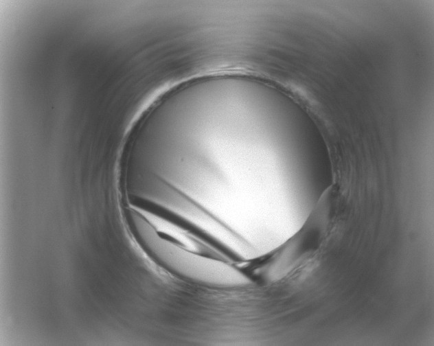 X0000065961422200603241835