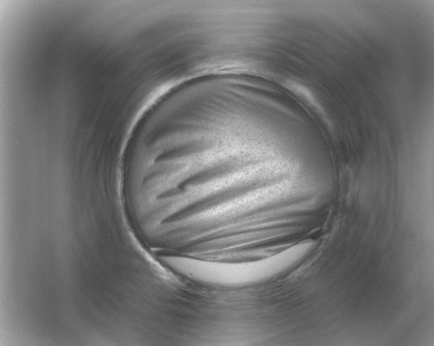 X0000065961424200603241835