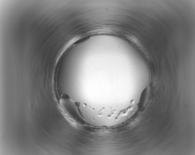 X0000065961426200603241835