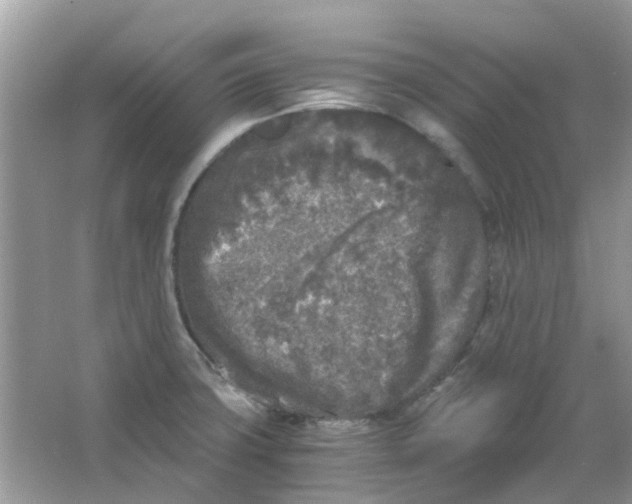 X0000065961427200603241835