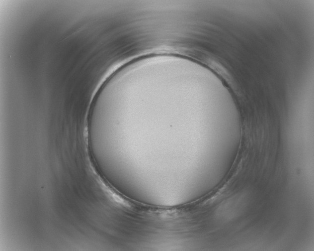 X0000065961428200603241835