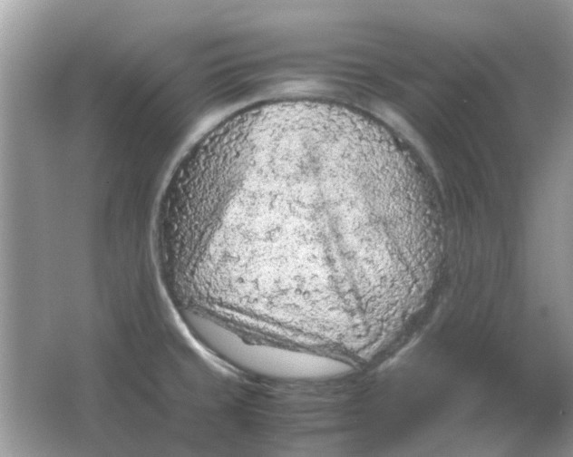 X0000065961429200603241835