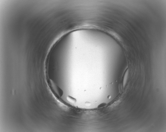 X0000065961430200603241835