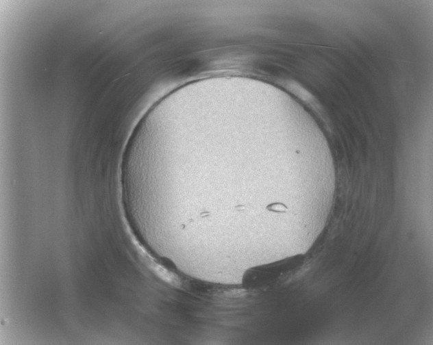 X0000065961431200603241835