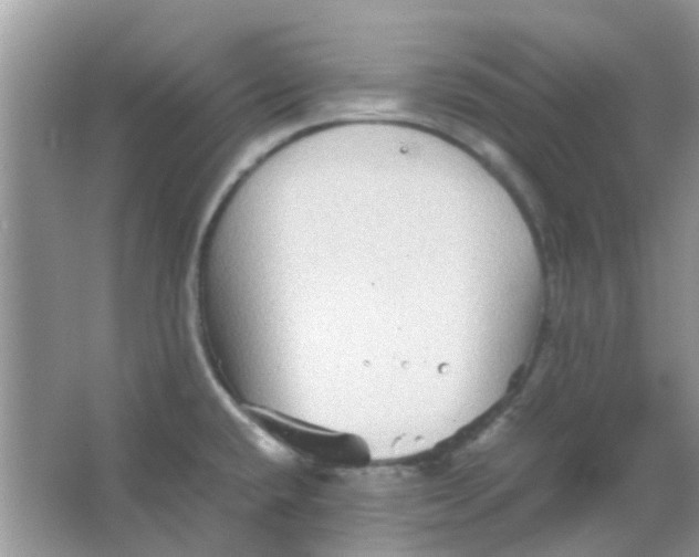 X0000065961432200603241835