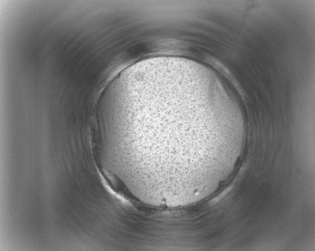 X0000065961433200603241835