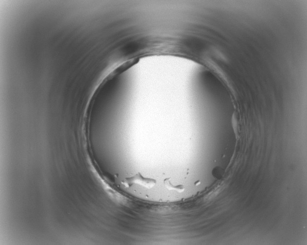 X0000065961434200603241835