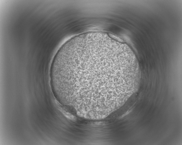 X0000065961435200603241835