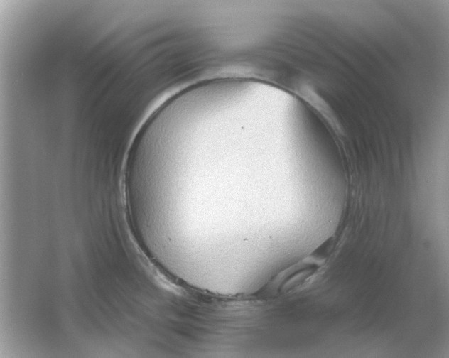 X0000065961436200603241835