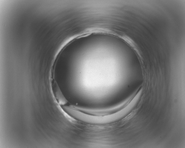 X0000065961438200603241835