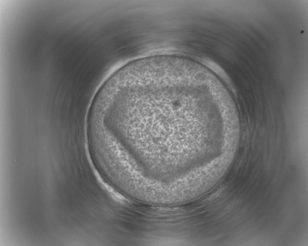 X0000065961439200603241835