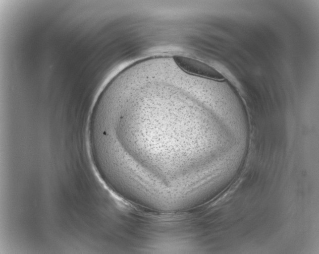 X0000065961440200603241835