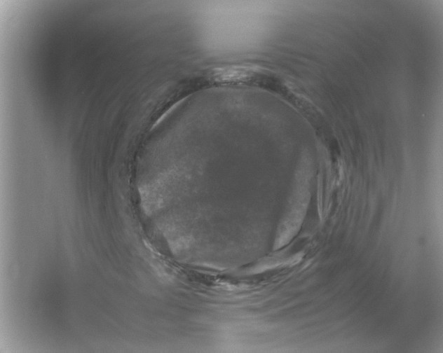 X0000065961441200603241835