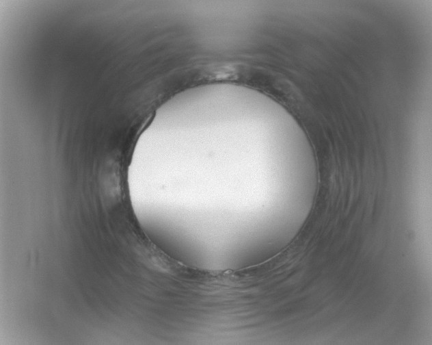 X0000065961442200603241835