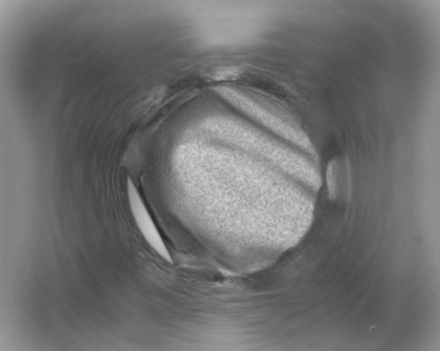 X0000065961443200603241835