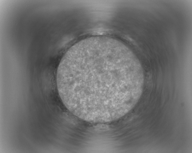 X0000065961446200603241835