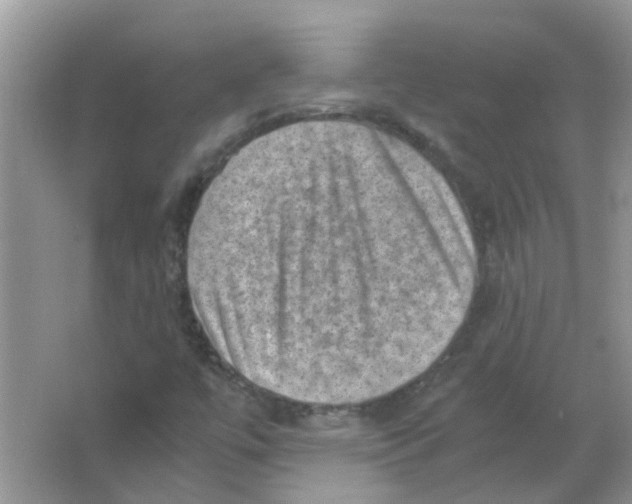 X0000065961447200603241835