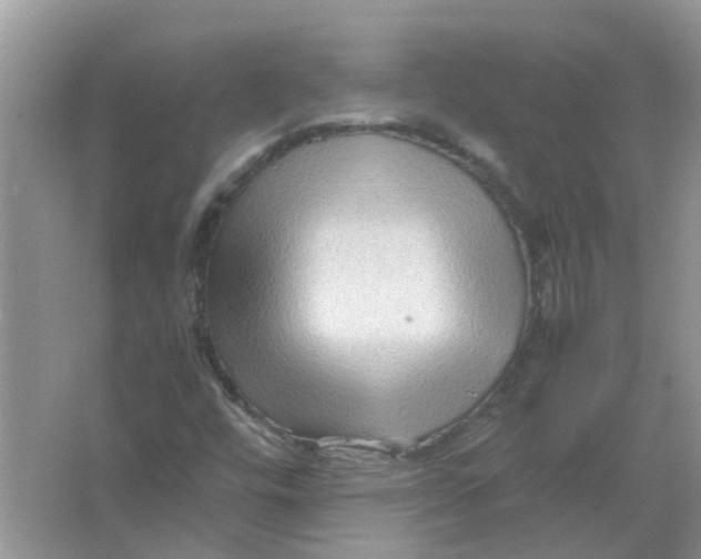 X0000065961448200603241835