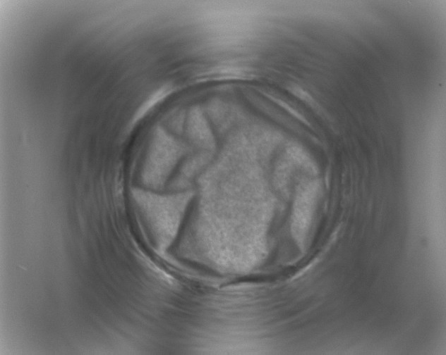 X0000065961450200603241835