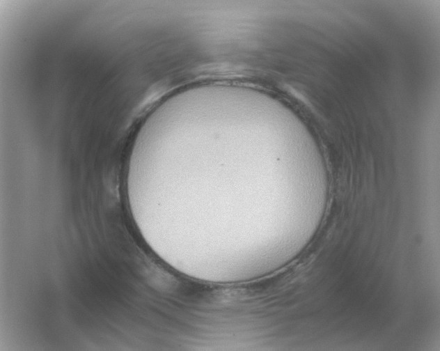 X0000065961451200603241834