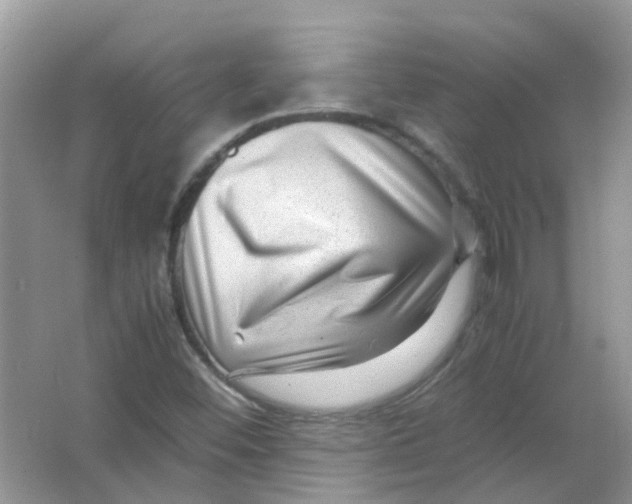 X0000065961452200603241834