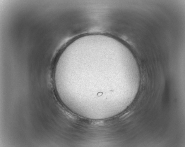 X0000065961454200603241834