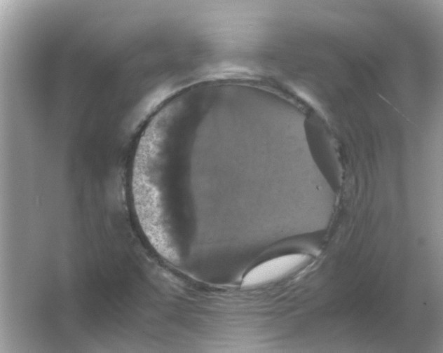 X0000065961455200603241834