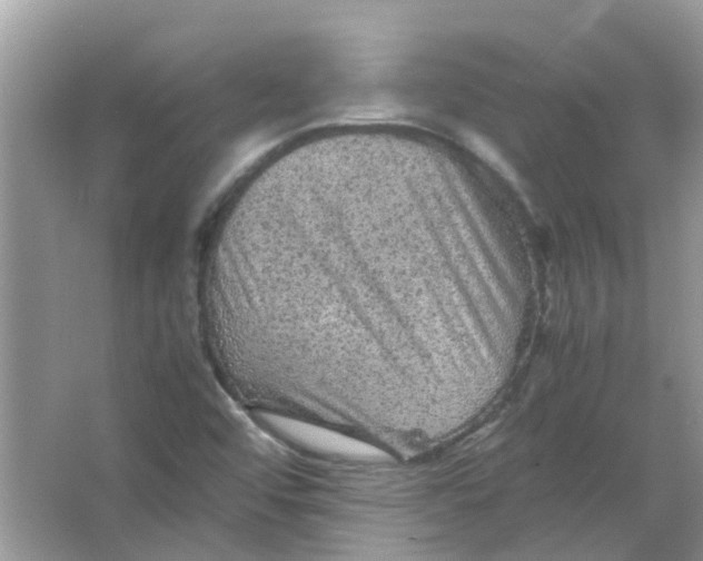 X0000065961456200603241834