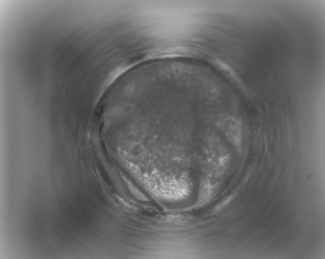 X0000065961457200603241834