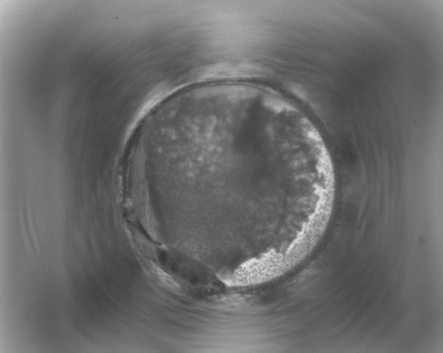 X0000065961459200603241834