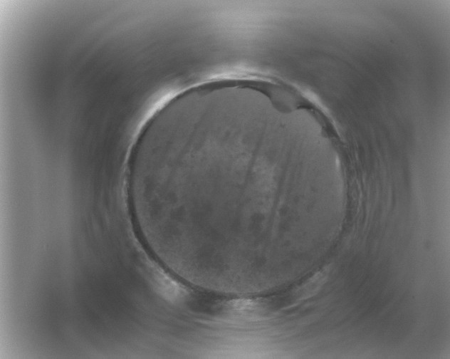 X0000065961463200603241834