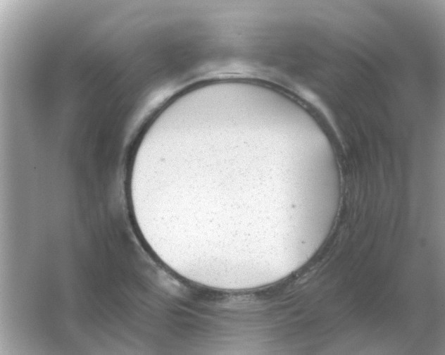 X0000065961464200603241834