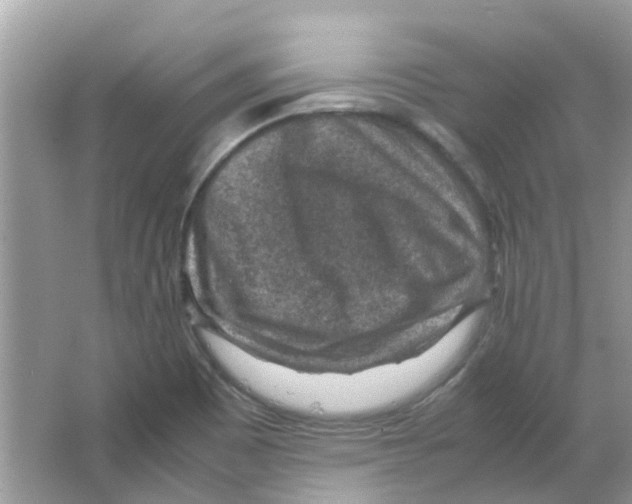 X0000065961465200603241834