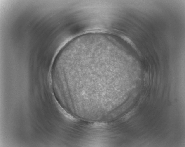 X0000065961466200603241834