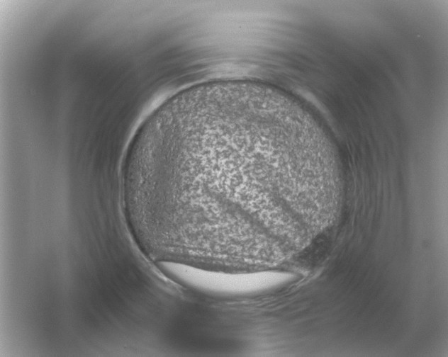 X0000065961467200603241834