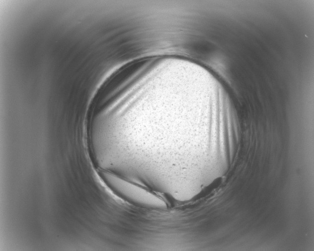 X0000065961468200603241834