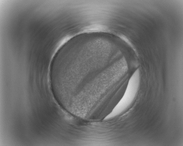 X0000065961469200603241834