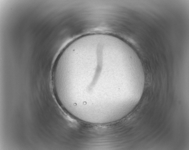 X0000065961470200603241834