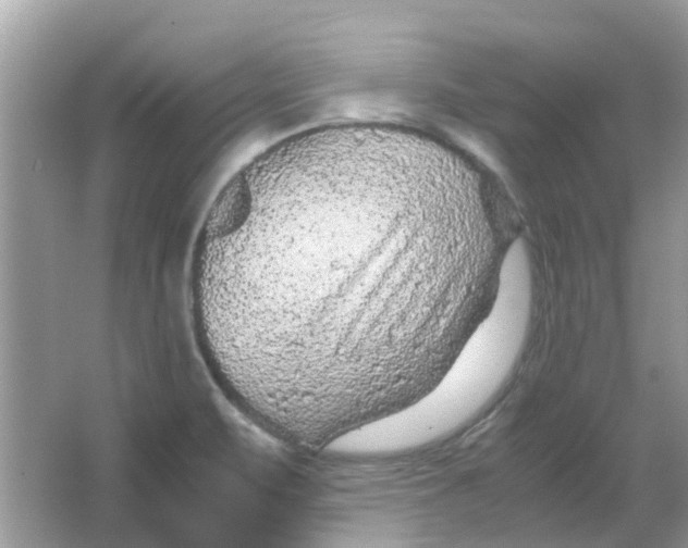 X0000065961471200603241834