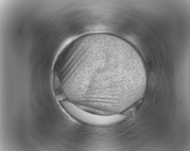 X0000065961472200603241834