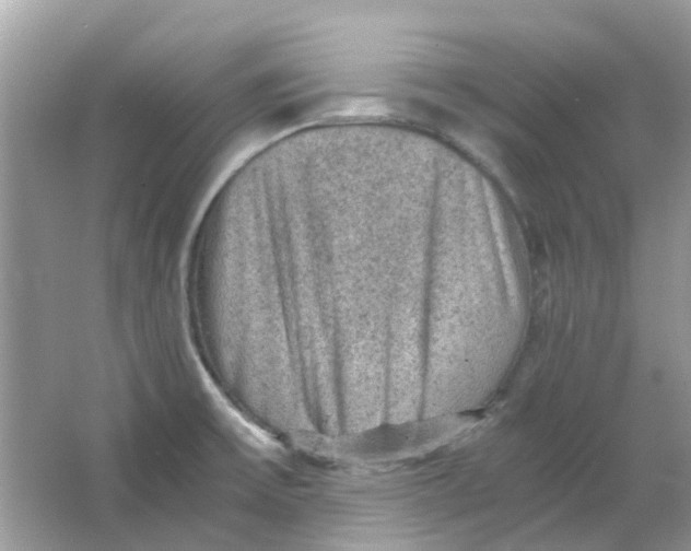 X0000065961475200603241834